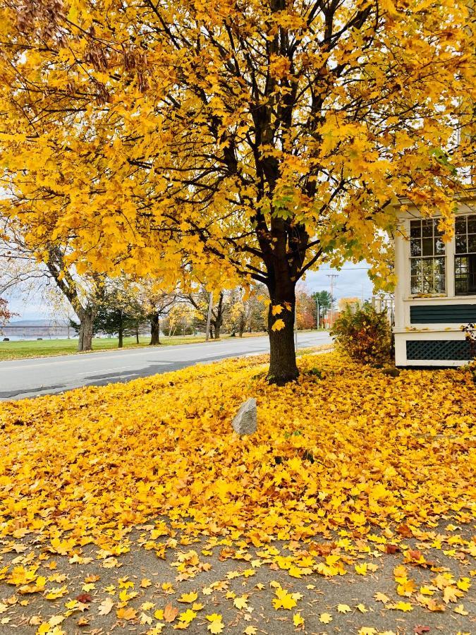 The Colonel'S In Bed And Breakfast Fredericton Dış mekan fotoğraf